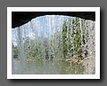 IMG_3011.JPG