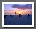 IMG_3959.JPG