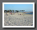 IMG_4015.JPG