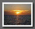 IMG_4031.JPG