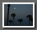 IMG_4041.JPG