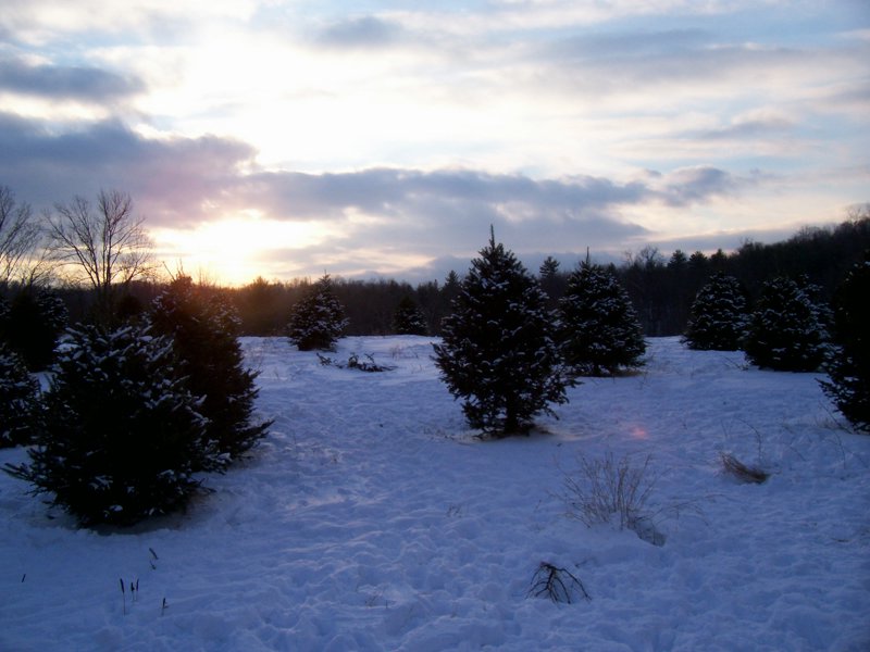 Christmas 2005 - Ed 261.jpg