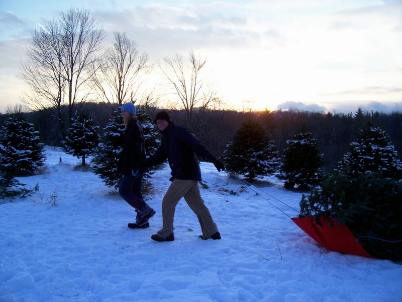 Christmas 2005 - Ed 277.jpg