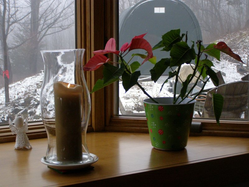 Christmas 2006 - PC260034.JPG