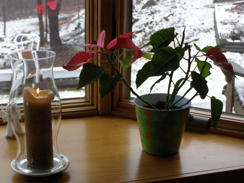Christmas 2006 - PC260040.JPG