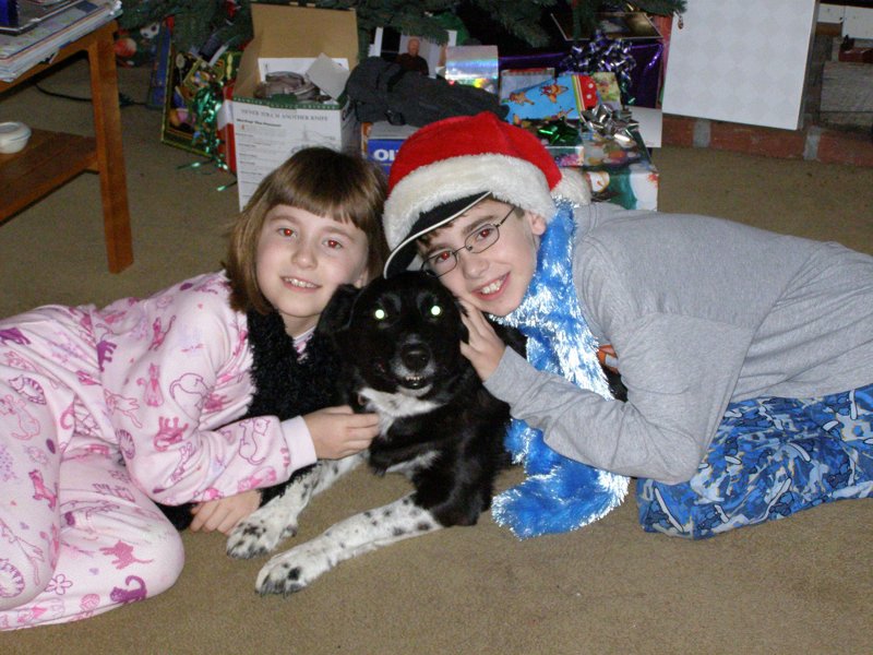 Christmas 2006 - PC260052.JPG