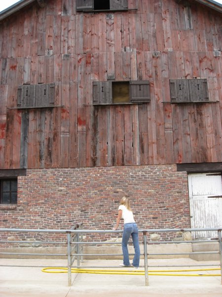 Traders Point Creamery 2007 - IMG_0160.JPG