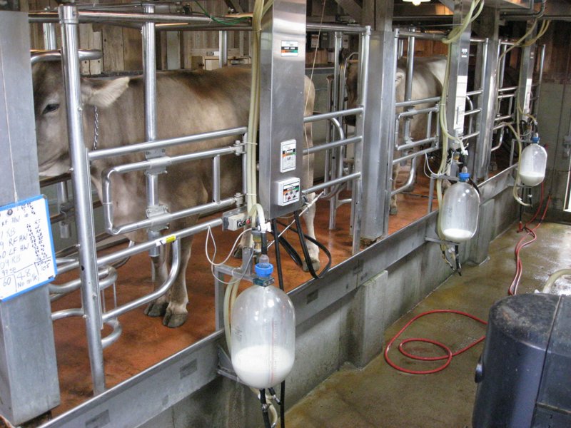 Traders Point Creamery 2007 - IMG_0225.JPG