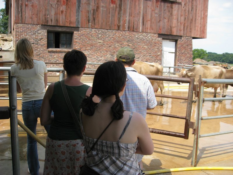 Traders Point Creamery 2007 - IMG_0228.JPG