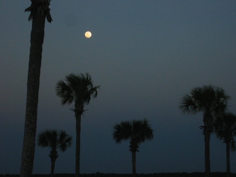 Florida 2006 - IMG_4041.JPG