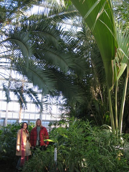 Garfield Park Conservatory 2008 - IMG_1159.JPG
