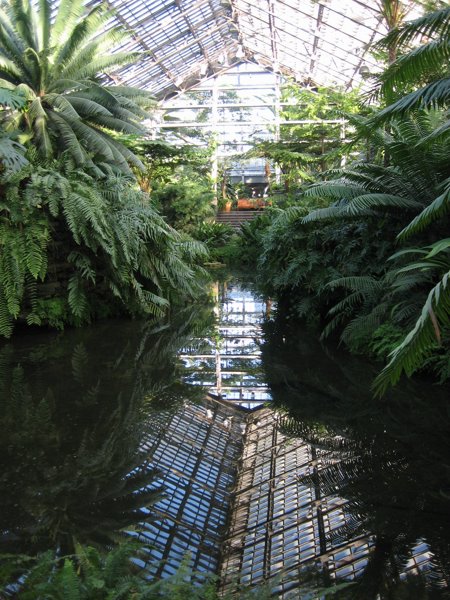Garfield Park Conservatory 2008 - IMG_1169.JPG