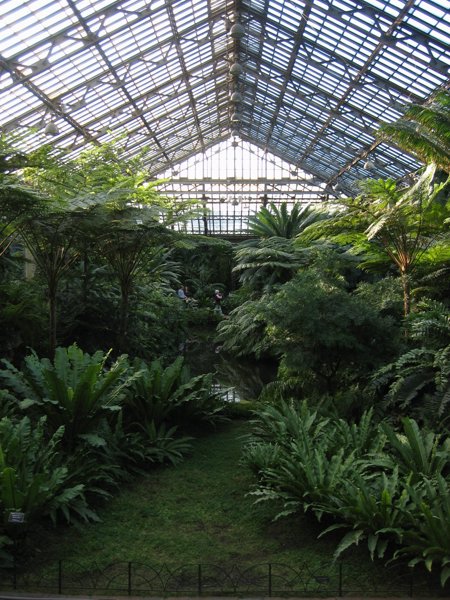 Garfield Park Conservatory 2008 - IMG_1176.JPG