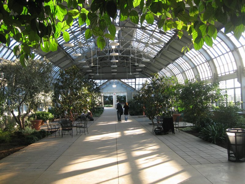 Garfield Park Conservatory 2008 - IMG_1180.JPG
