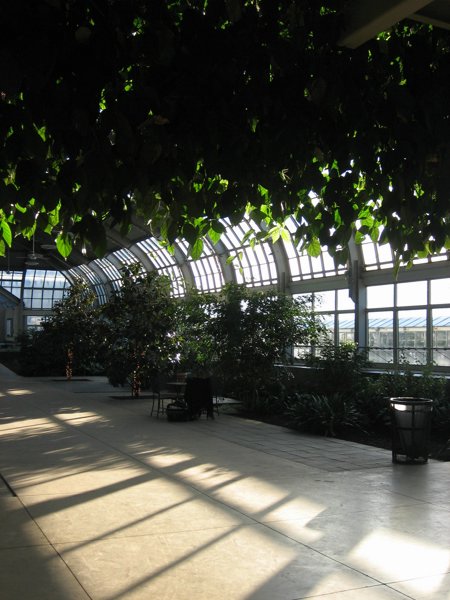 Garfield Park Conservatory 2008 - IMG_1183.JPG