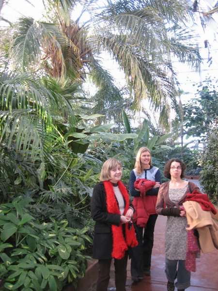 Garfield Park Conservatory 2008 - IMG_1200.JPG