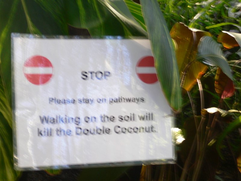 Garfield Park Conservatory 2008 - P1020866.JPG