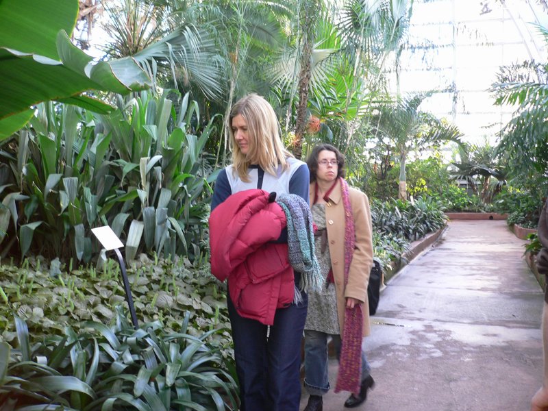 Garfield Park Conservatory 2008 - P1020867.JPG