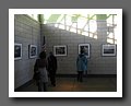 IMG_1181.JPG