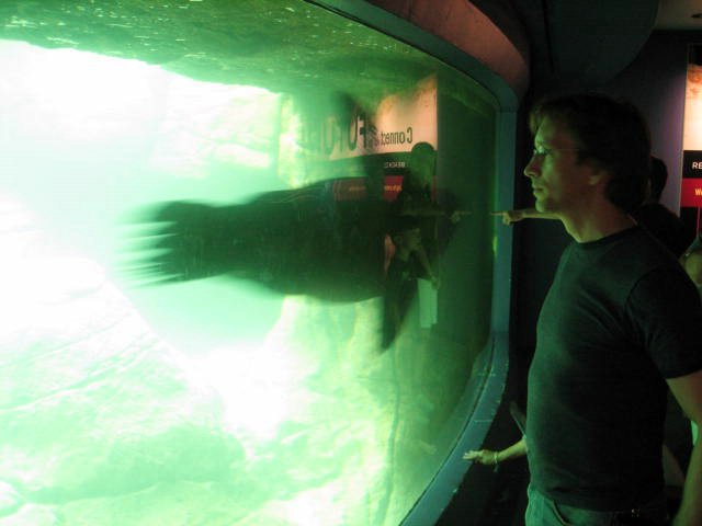 Indianapolis Zoo 2007 - IMG_0094.JPG