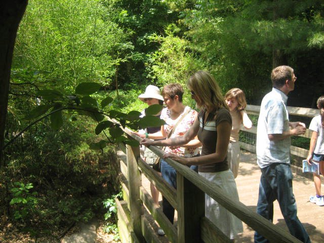 Indianapolis Zoo 2007 - IMG_0102.JPG