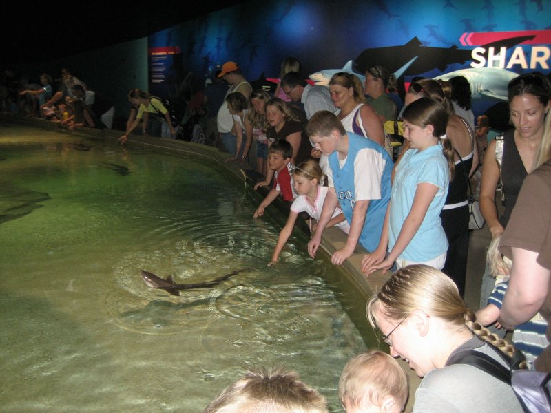 Indianapolis Zoo 2007 - IMG_01140.JPG