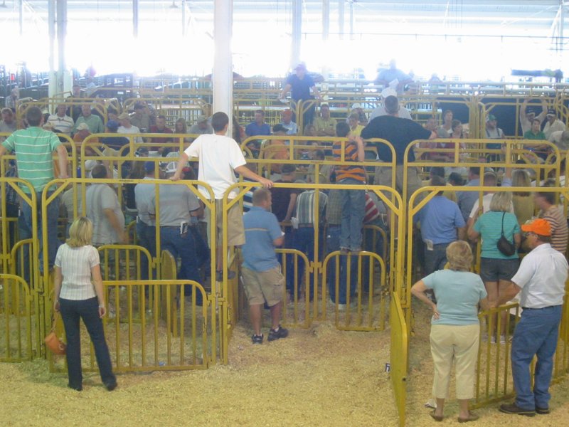 Indiana State Fair 2006 - IMG_5215.JPG