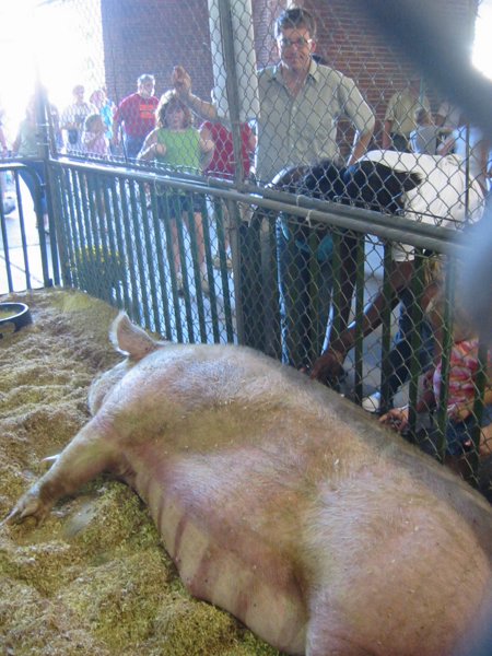 Indiana State Fair 2006 - IMG_5233.JPG