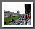 IMG_5510.JPG