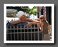 IMG_1071.jpg