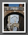IMG_1658.jpg