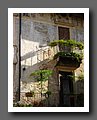 IMG_1744.jpg