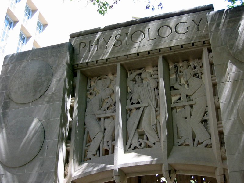 Indiana University - Bloomington - IMG_0123.JPG
