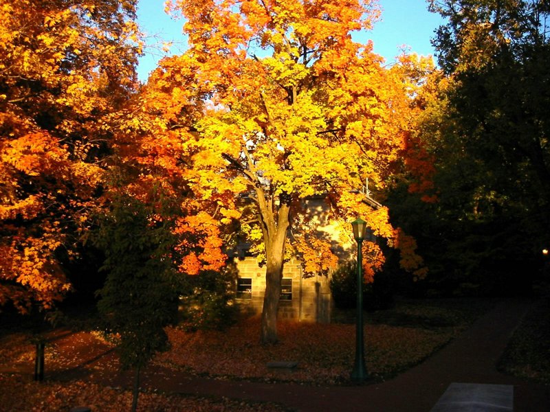 Indiana University - Bloomington - IMG_1756d.jpg