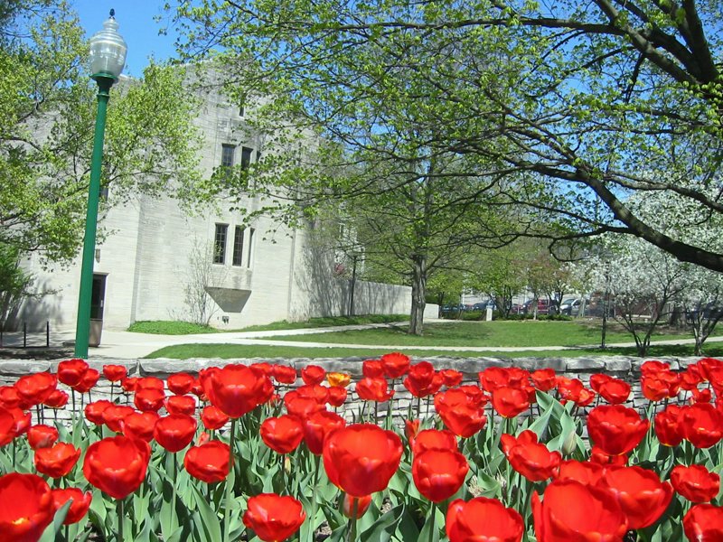 Indiana University - Bloomington - IMG_2296.JPG