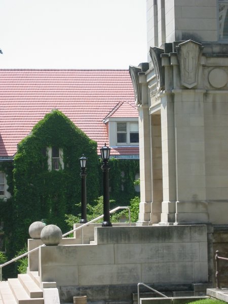 Indiana University - Bloomington - IMG_4998.JPG