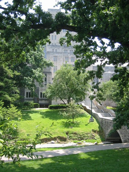 Indiana University - Bloomington - IMG_4999.JPG