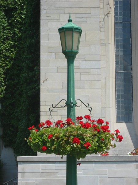Indiana University - Bloomington - IMG_5010.JPG