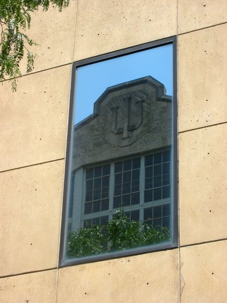 Indiana University - Bloomington - IMG_5018.JPG