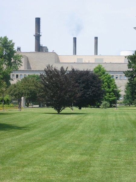 Indiana University - Bloomington - IMG_5019.JPG