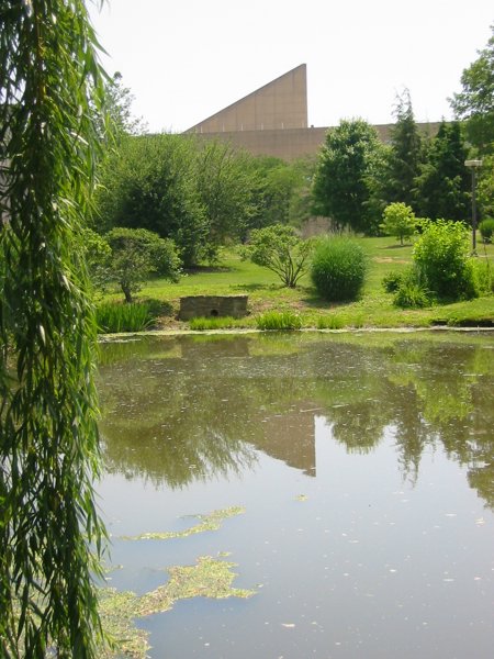 Indiana University - Bloomington - IMG_5022.JPG