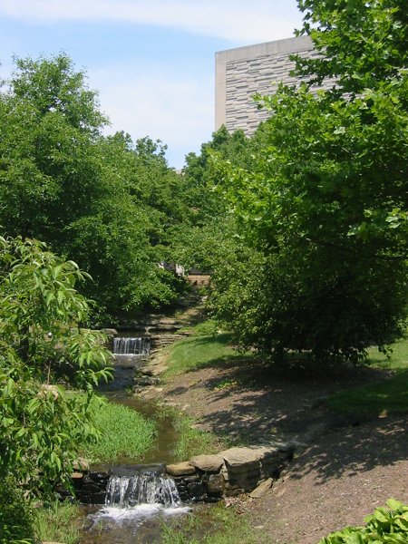 Indiana University - Bloomington - IMG_5025.JPG