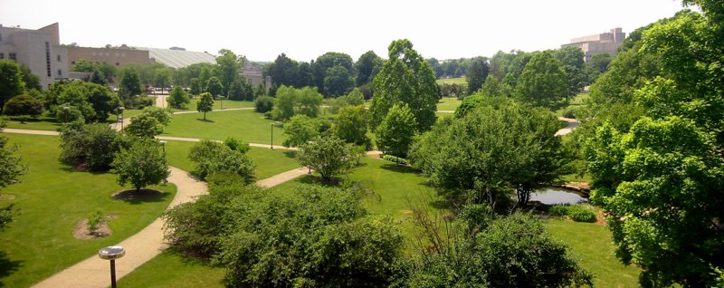 Indiana University - Bloomington - IMG_5036.jpg