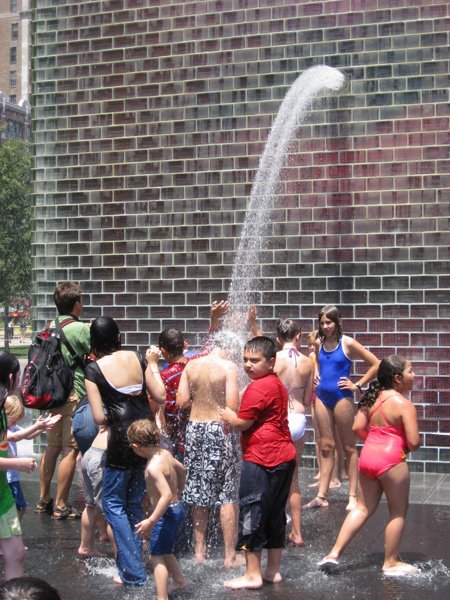 Millenium Park Chicago - IMG_0455.JPG
