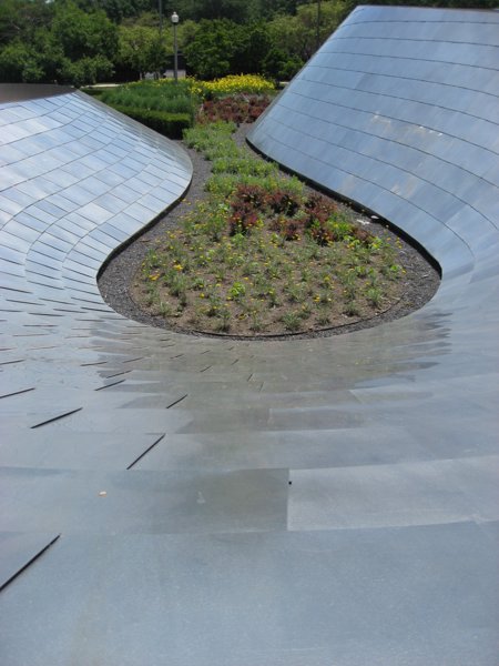 Millenium Park Chicago - IMG_0516.JPG